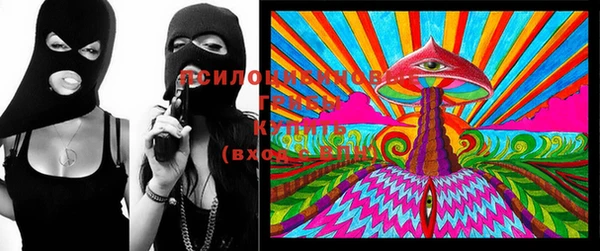 ПСИЛОЦИБИНОВЫЕ ГРИБЫ Алексеевка