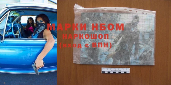 прущие грибы Протвино
