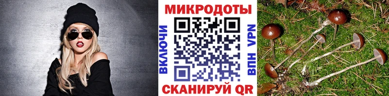 Галлюциногенные грибы MAGIC MUSHROOMS  гидра ТОР  Заинск 